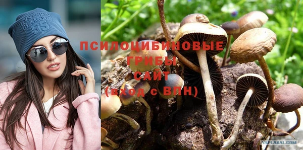 крисы Верхнеуральск