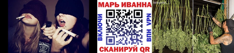 купить   Калач-на-Дону  Канабис ГИДРОПОН 